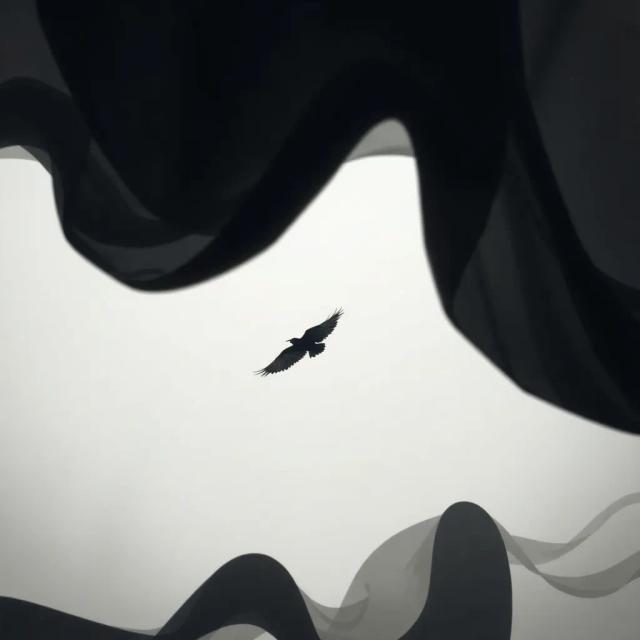 Raven's Echo — BloodRavenX 1