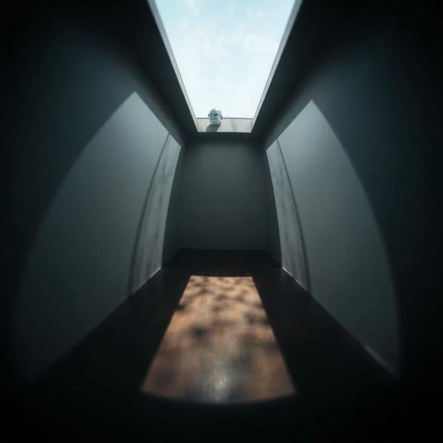 Ash on Your Collar 1