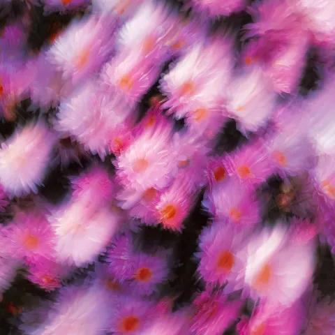 Together We Rise — Unstoppable 2