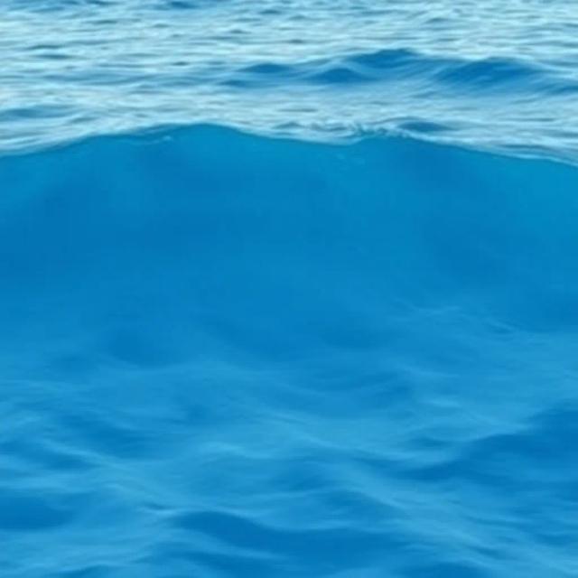 Neon Moon Disco Nights 1