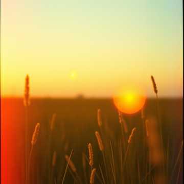 Что такое любовь — Песня о любви