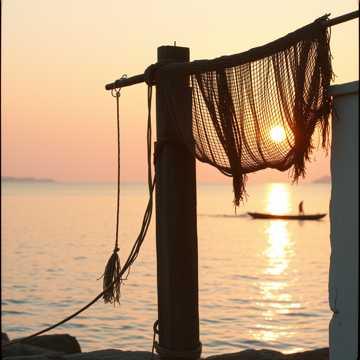 De Arboletes al Mundo — Don Baile