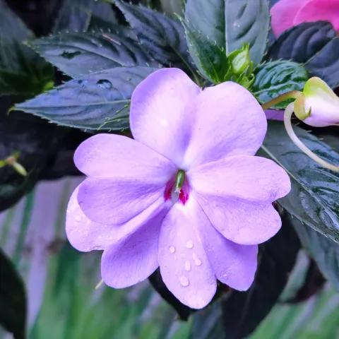 Magma & Steel: Unleash the Fury 2