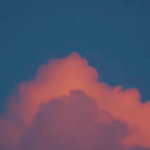 Team 333: Campeones de Pasión 2