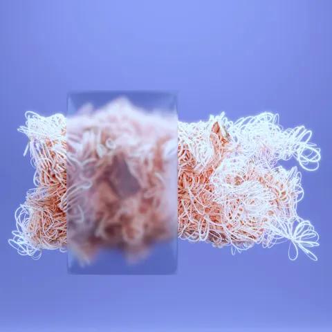 Yaasa Koo — Jaalala (Reggae Afaan Oromoo) 2