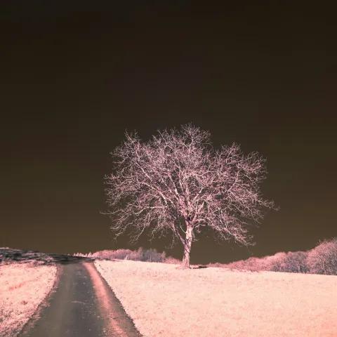 Vento Cortante: O Último Hashira 1