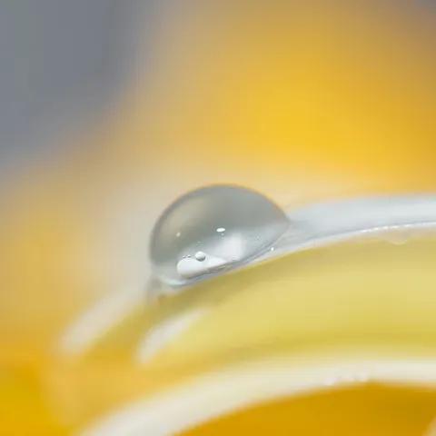 Libro Ko — Pahina ng Pagbangon 1