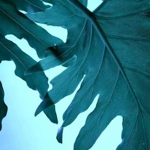 Rooftop Christmas Glow 1