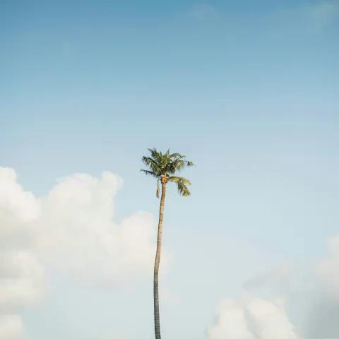 Seidou Armel — Président de Paix 2