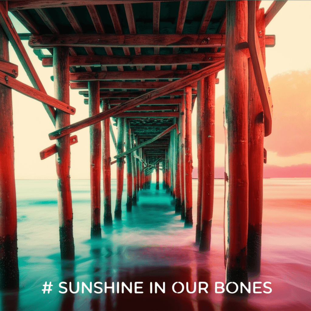 Sunshine in Our Bones 1