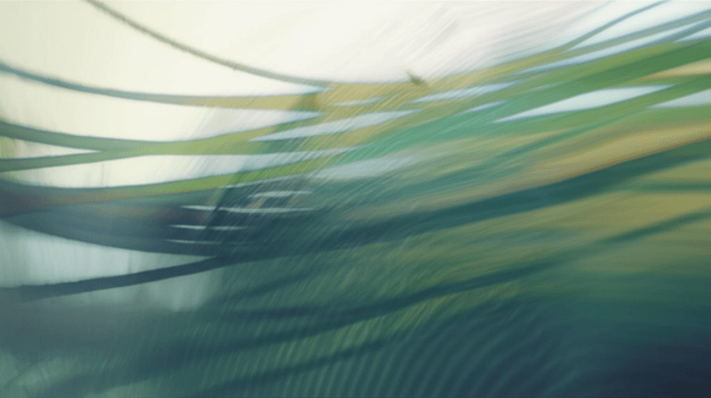 Whispers of the Wild 1