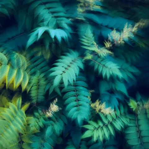 Happy Birthday Nana Official 1