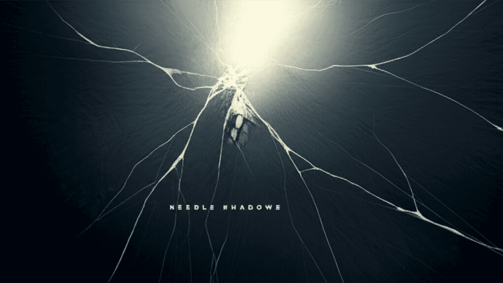 Needle Shadows 1