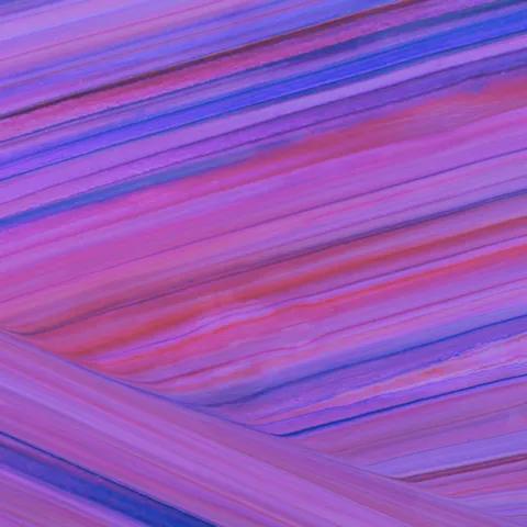 Víbora Veleidosa - Bachata de Traición 2