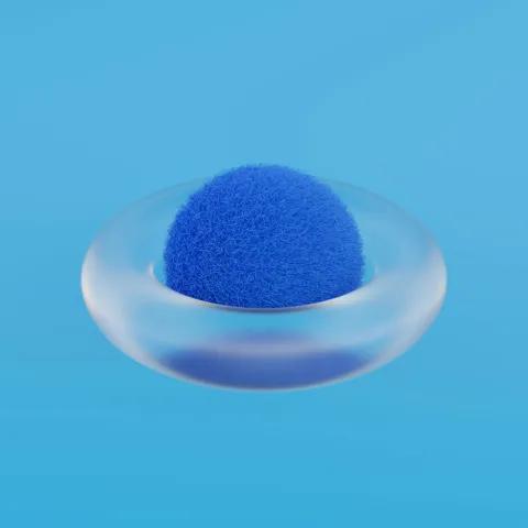 Ich wollte mit dir die Welt erobern 1