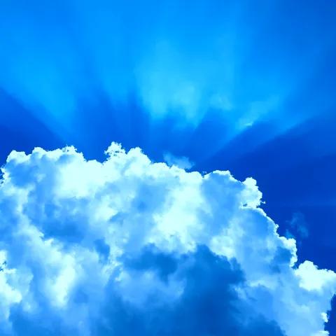 Watching You Always 2