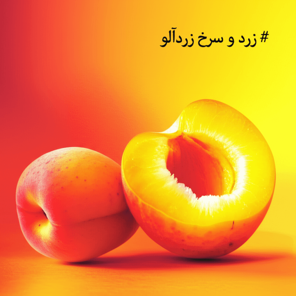 زرد و سرخ زردآلو 1