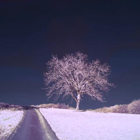 Undecided_Feelings - Ícarus Bleek 2025-1 2