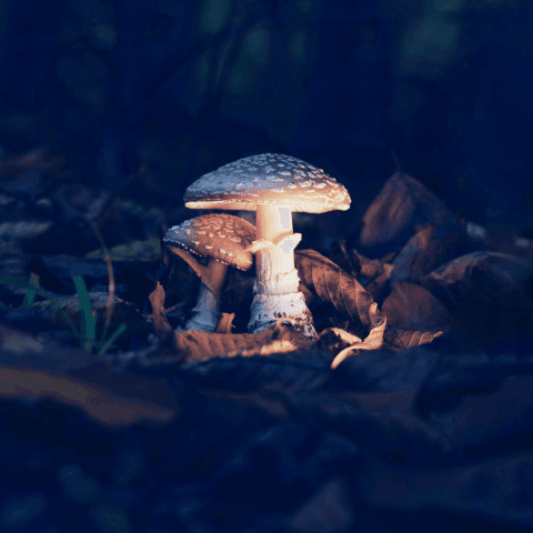 Liwanag Sa Dilim — Hip-Hop Heartbreak 2