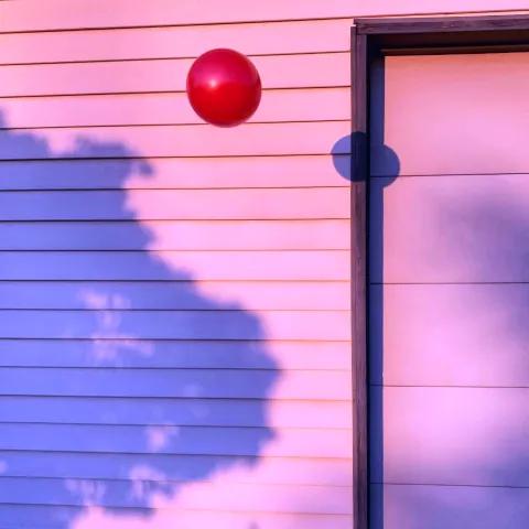 Tuba'nın Güneşi 2