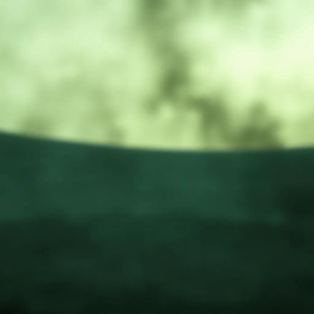 Düzeninize İnat Haykırış 1