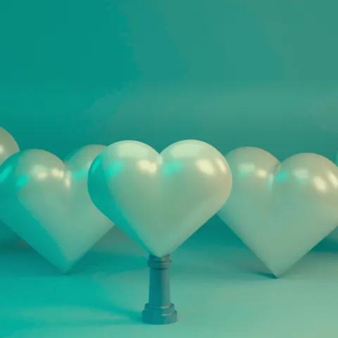 Echoes of the Soldier's Dream 1