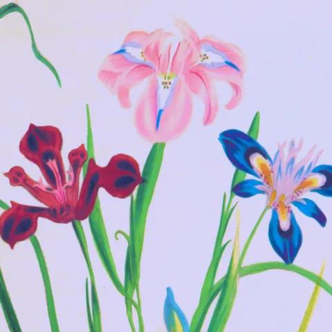 Lagu_Natal_Selamat_Natal_Saudara_ku_____ 1