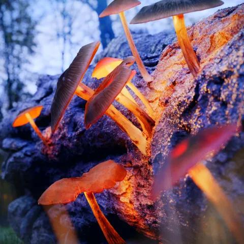 okes kehilangan.mp3 2