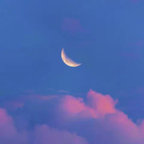 Highs and Lows With You 1