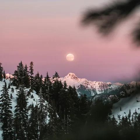 Caminho do Silêncio 2