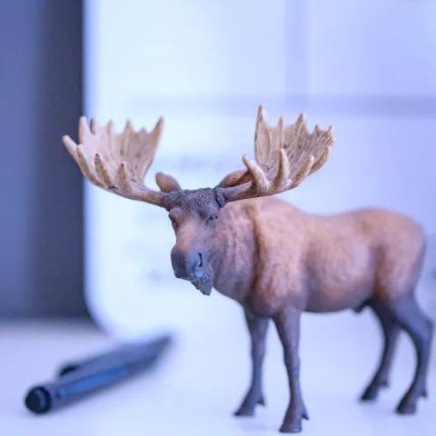 د زړه تیاره کیسې 1