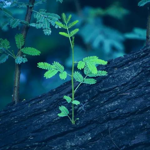 Te Fuiste, Mamá — Recuerdos Eternos 2