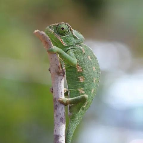 Qué peligro cuando me besas 2