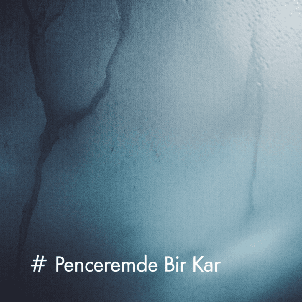 Penceremde Bir Kar 1