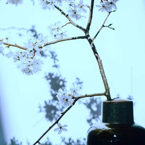 Silent Moves, Steady Grind 2