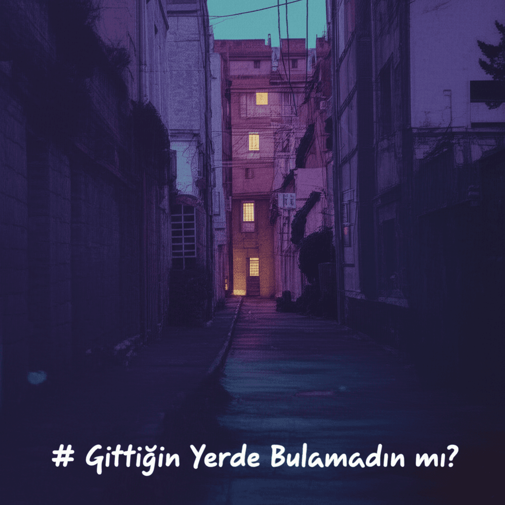 Gittiğin Yerde Bulamadın mı?