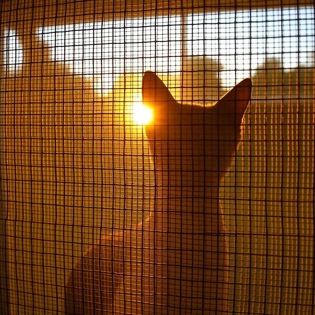 Maryam's Sacrifice 2