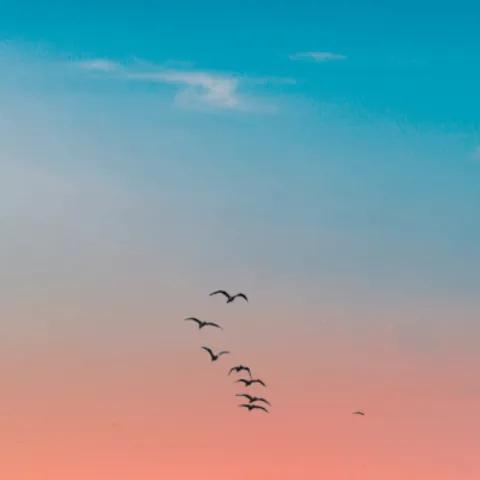 Tsy Irery Aho - Malagasy Gospel Reggae 2