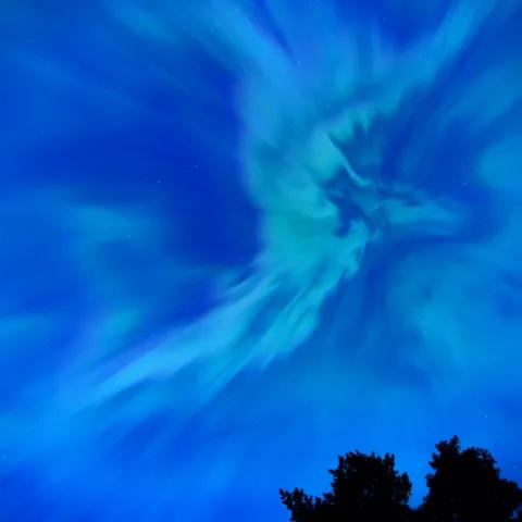 For the Autism Record 2