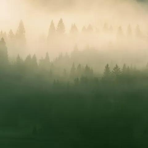 Bajo Estilo Trueno 2