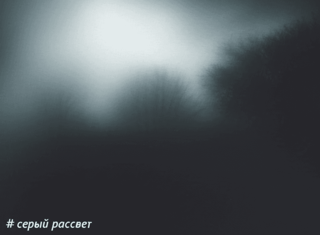 серый рассвет 2