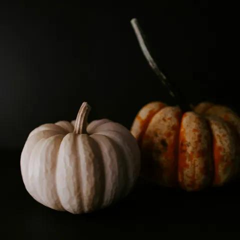 Mon Central C’est Le Mood 2