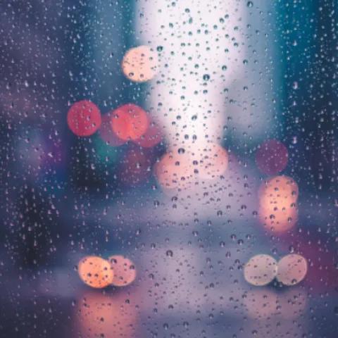 Bolero Para Los Que No Están 2