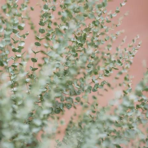 Firestorm Heart: Tearing Through the Night 1