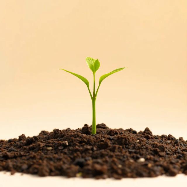 Voices for Peace: One World, One Future 2