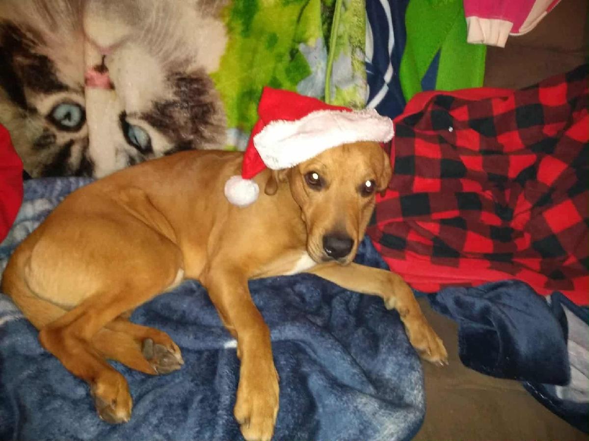 Outerist Side — 2 Voices Ballad